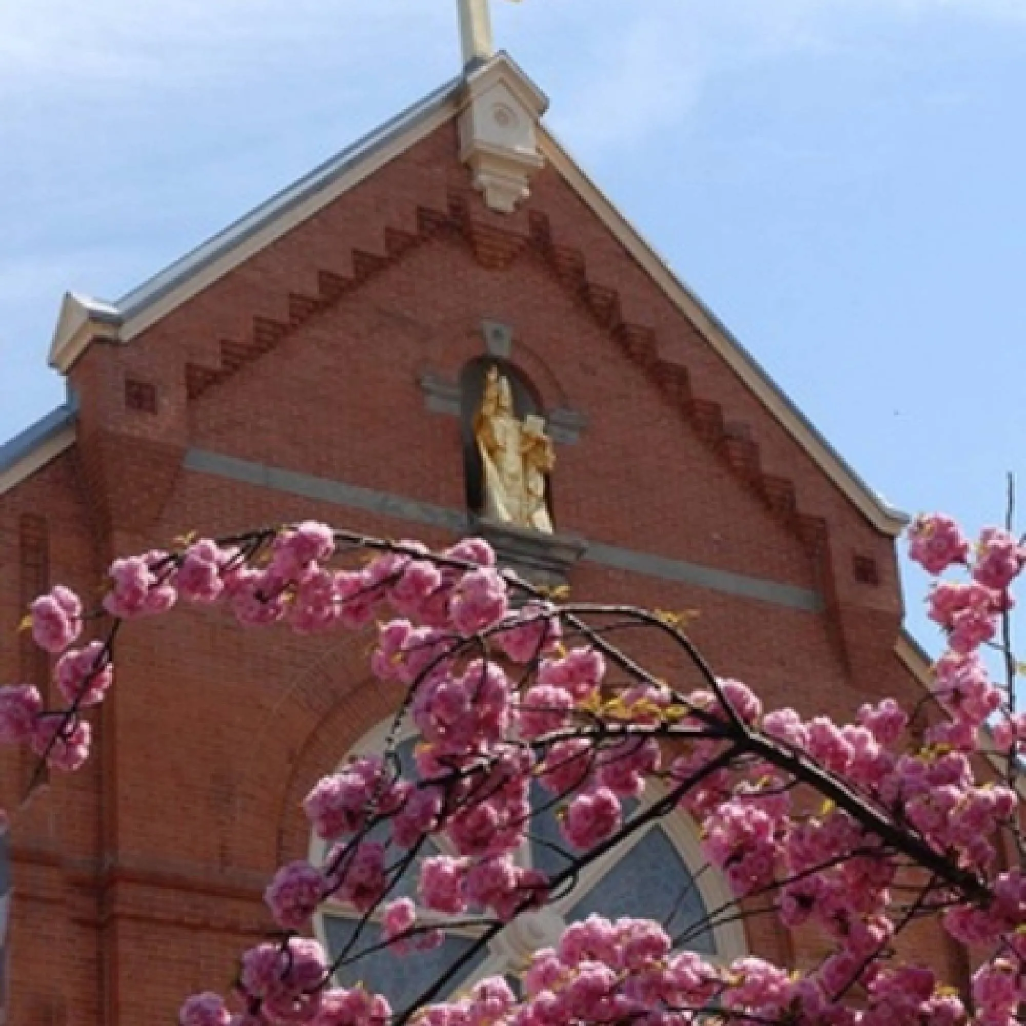St. Leo the Great church facade framed by spring cherry blossoms